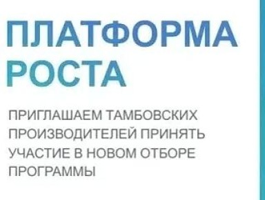 Тамбовские предприниматели и компании могут подать заявку на участие в программе поддержки бизнеса «Платформа роста»