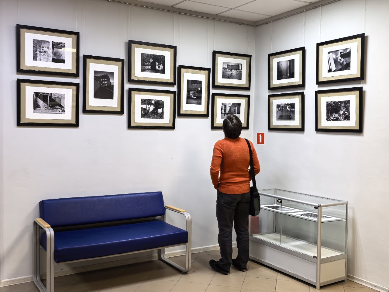 В Державинском университете открылась фотовыставка тамбовской журналистки Светланы Родионовой В Державинском университете открылась фотовыставка тамбовской журналистки Светланы Родионовой