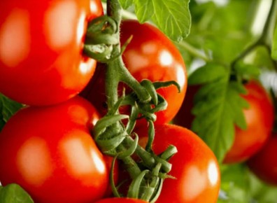 ��������� ������, ������� ������ ���� ����� ������� ��������