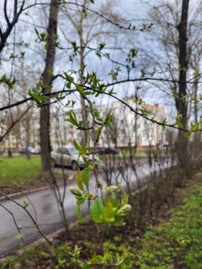 Доброе утро, Тамбов!. Погода сегодня будет непостоянна и ветрена