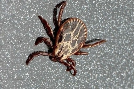 � ������ ������ � ���������� ������� �� ������ ������ ���������� 127 �������