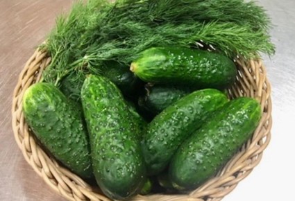 Как правильно насладиться первыми огурцами лета: советы и ритуалы