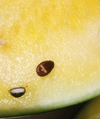 ������� �� ������ ������ � ������: ���������� ������ ��� ������� �����