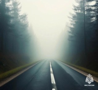 ��������� �����. �� ������ ���������� ���� � ��������� 1-3 ���� �� ���������� ���������� ������� ��������� ����� ���������� 200-500 ������