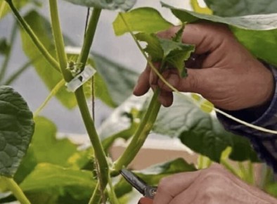 �������� �������: ��� �������� ����������� � ��������� ������