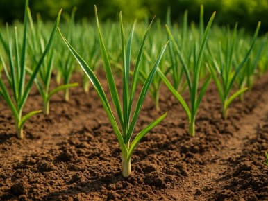 ��� ������ ���� ������: 7 ����������� ������� ������ ���������� �������