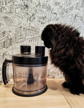 ��� ������� ������ �������� ����� �� �����: ������� � ������ ��������