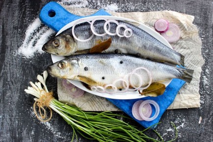 ��������� ����������� �������: ������ � �������