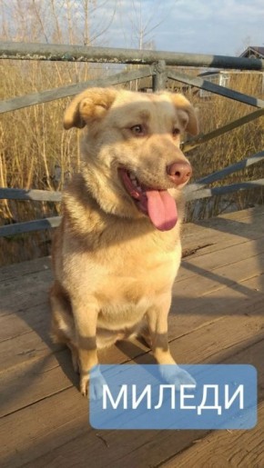 ���� �����: ������, ����� � ����� ���� ���