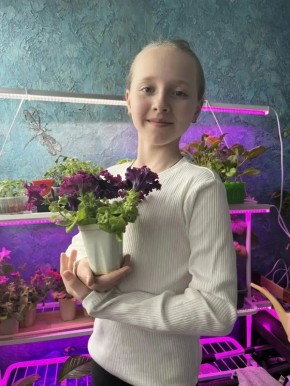 ���� �������� � �� �������� ���������� ������� ��� ������� ����