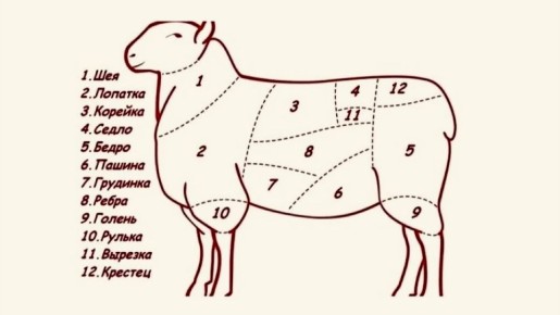 ��� ������� ��������� ����� ��������: ������� ��� �������, ����� � �����