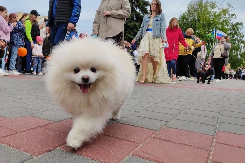 ������� ������ ����� � �����, ������� ���������� ������� ������ ���� �����