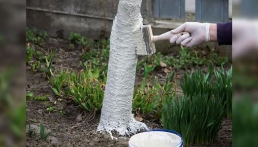 ����������� ���������� � �������� �������� ������� ��������