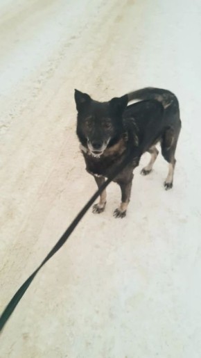 ���� �����: �������� ���� ���