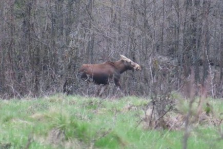 ��� ����� ���� � ����� ������, ���������� � "�����������" �����������