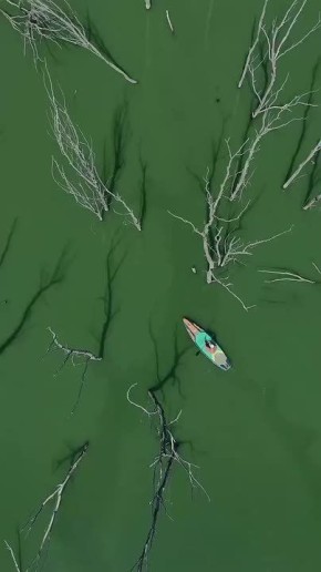 ������ �������� ���������. �����