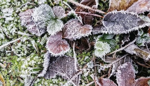 ����������� ���������������� ����������, ��� ������ �������� ��� ���������� ����������