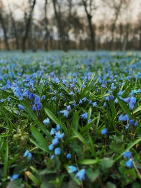 �������� ������. ����� �������������/�� "�������� ������" �� � MAX