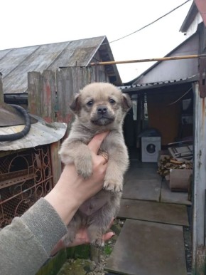 ���� �����: ����� ���� ���