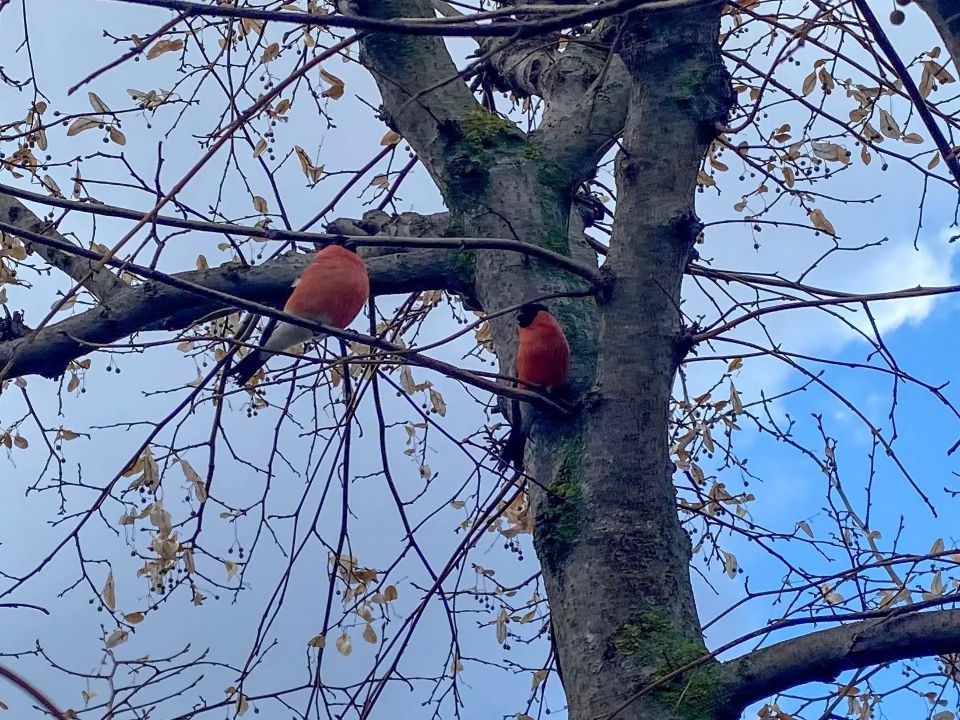 ������� � ������ �� ���������� �������