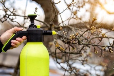 ��� �������� ��� �� ������ � ������ � �����������: ������ �� �������� ���������