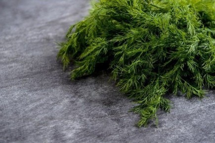 ����� �������: ������� ��������� ����������� ������