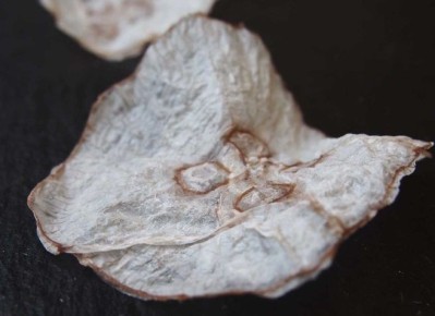 ��������� �������: ����� �� ����� � ���������� � ����� ���������������� ���������