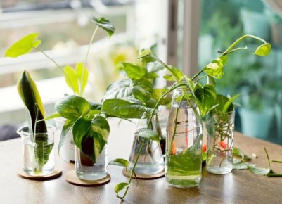 ��������� ����������� ��������� ��������: ������� ������ ��� ��������� �����