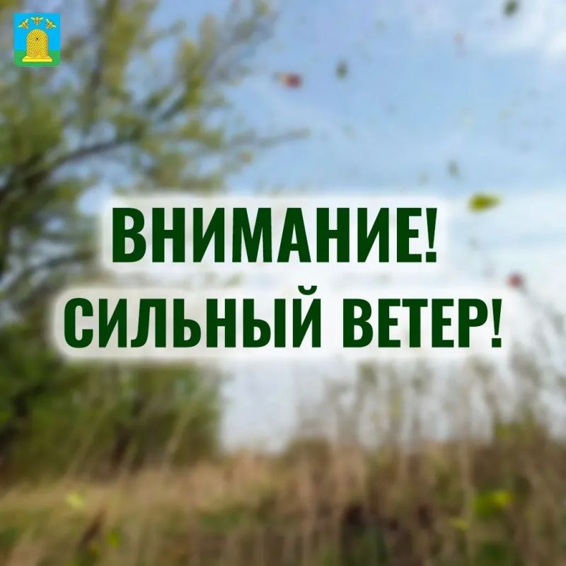 �������� �������!. �� �������� ����������, ������, 23 ������, ���� �������� �������� ���-��������� ����� �������� �� 15-20 �/�