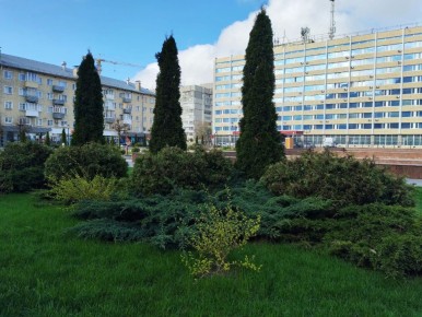 ������ �, �������-��, ��������� ����, ������!