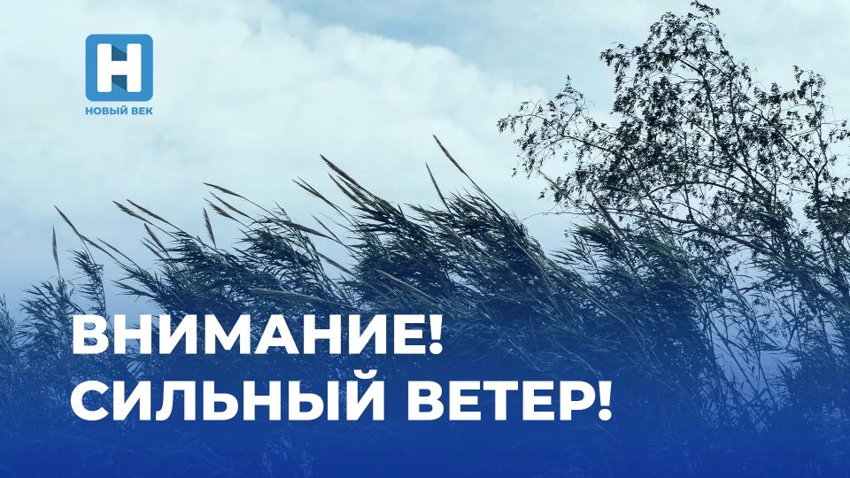 ���: � ���������� ������� 25 ������ ��������� ����� �������� �� 15-20 �/�
