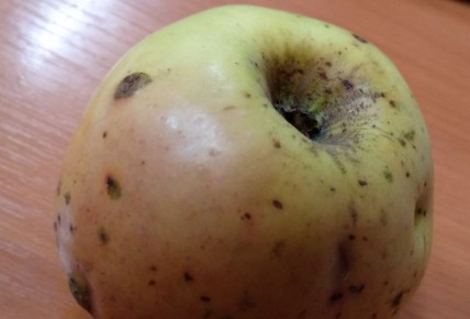 ����� �� ������� � ������: ��� �������� ���� ������� �� ������� �������