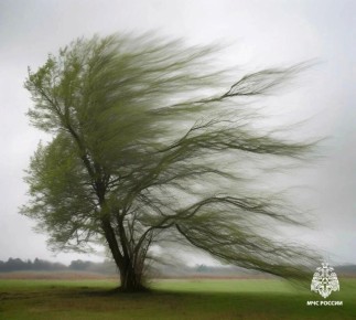 �������� ����� ���� ���������