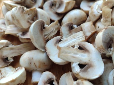 ������ �������: ����� ���� ��� �������� ����� � �������� ������������