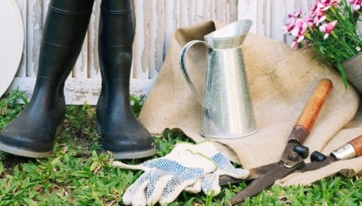 ��������� ������ ��������� ���������� ����� ��������� � �������� ��� ��������