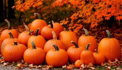 ����� ������: ��� ��������� ���� � ������ ��� �������������