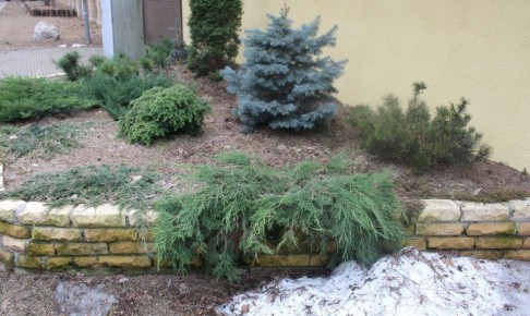 �������� ��������: ���, ������� ������ ���� � ��������