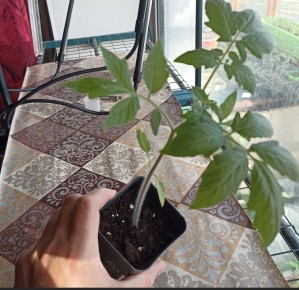 ����� � ������������ �����������: �������� ���������� �������� � �������� ��������