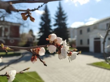 � �������, �������� ��������, ����� �� ����� �� ������ 5 �������� �����, �� ����� ����-����� �. �. �������� ��������� ��������� ����