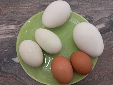 ������� � ������ ����: ����� �� �� ��������� ��� ����� ��������?