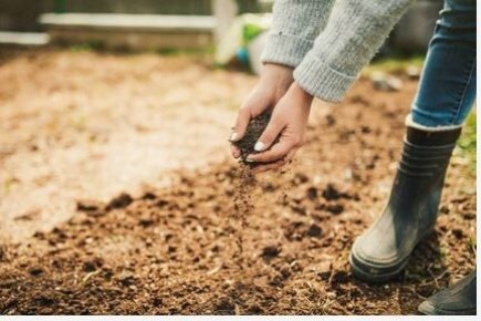 ��� ������������� �������� �� ����: ��������� ��� �������������� ����