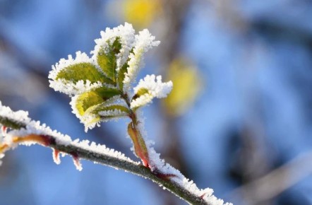 � ���������� ������� ����� 1 � 2 ��� ��������� ��������� �� -3 ��������