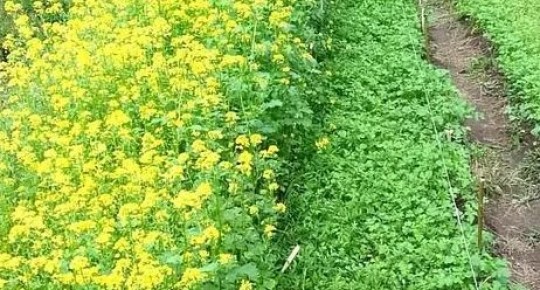 ������� �� ����: ������������� �������� ��� ������ �������