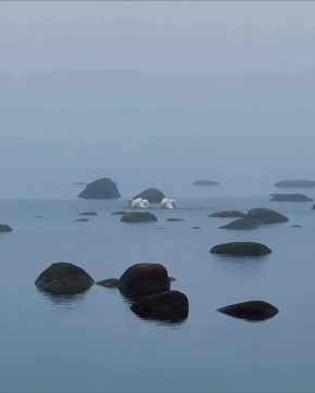 ����� ���: ����� ������� �� ������� ������