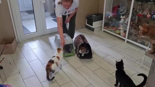 � �������� ������� ����������