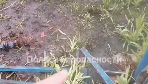 � �������������� ������ �������� ������ ��������� ����� ���