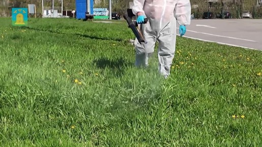 ������ ������ �������������� �� ������ ���� ����� � ��������, �� � ��������� ������