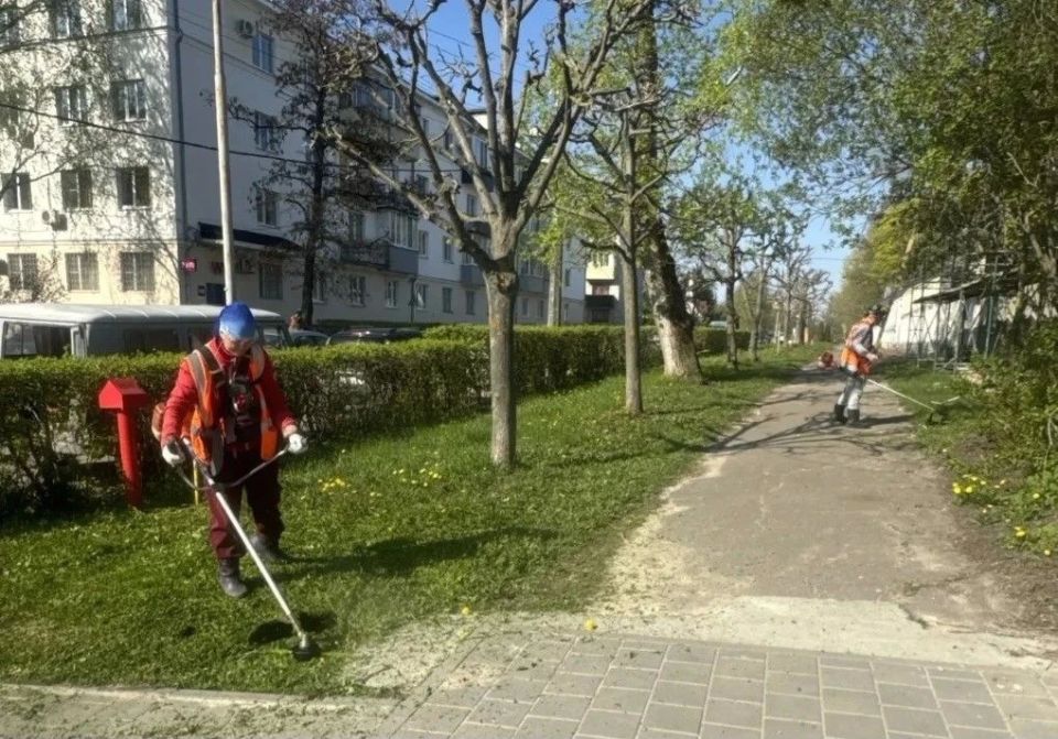 В областном центре приступили к окашиванию травы В областном центре приступили к окашиванию травы