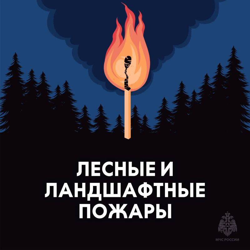 Береги лес от пожара. Огонь в лесу распространяется очень быстро, добраться до него сложнее чем в городской среде