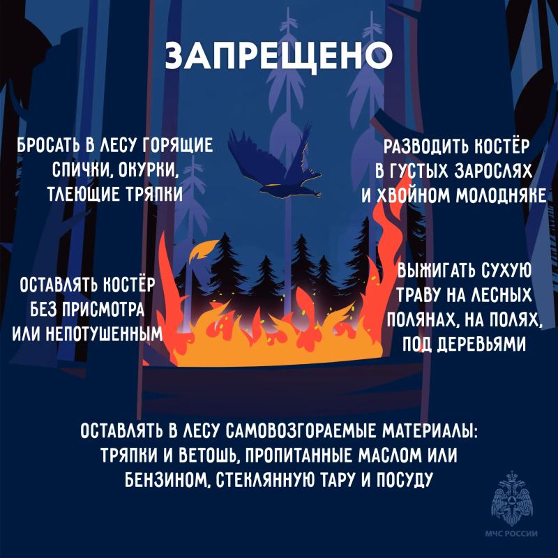 Береги лес от пожара. Огонь в лесу распространяется очень быстро, добраться до него сложнее чем в городской среде Береги лес от пожара. Огонь в лесу распространяется очень быстро, добраться до него сложнее чем в городской среде